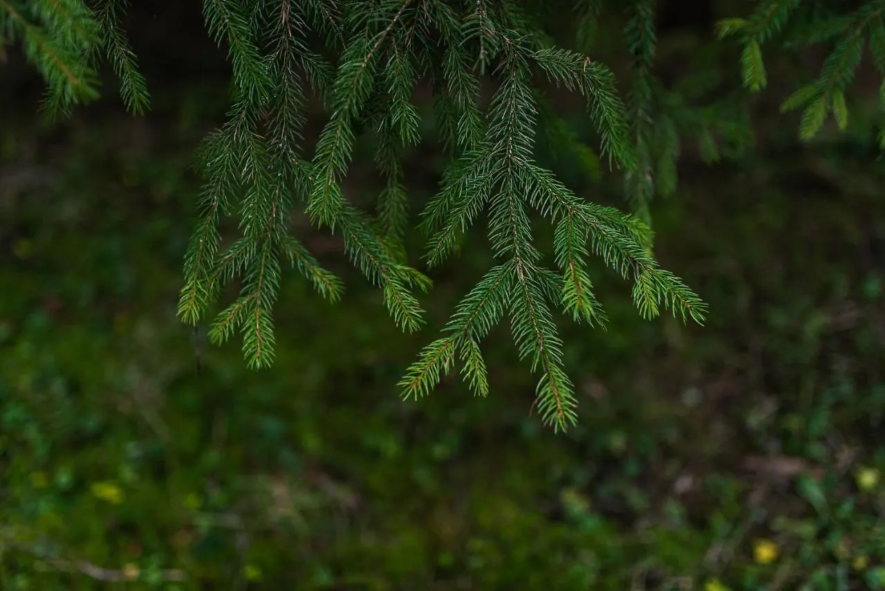 Apartamento Zauberhaft im Naturpark Altmühltal Greding Alemania
